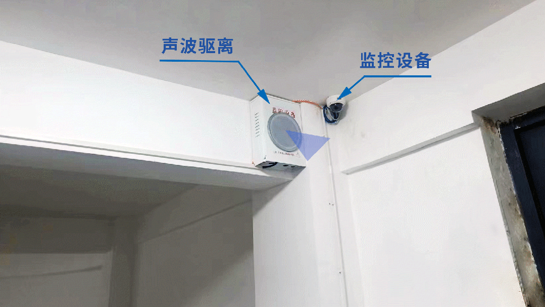 聲波驅(qū)離器